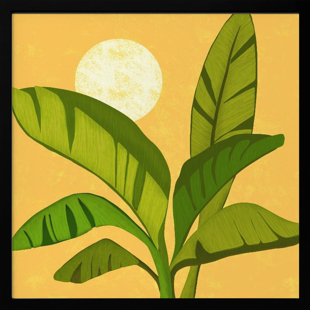 Sunny Golden Tropics | Poster