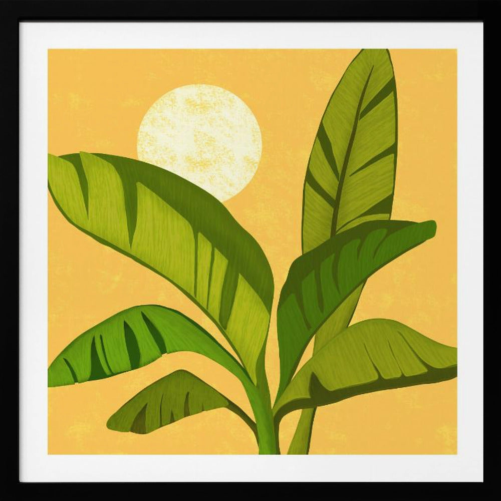 Sunny Golden Tropics | Poster