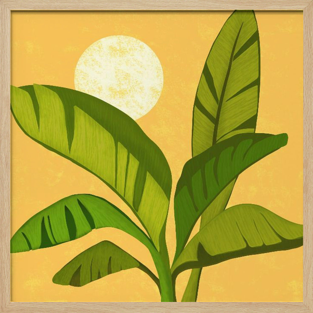 Sunny Golden Tropics | Poster
