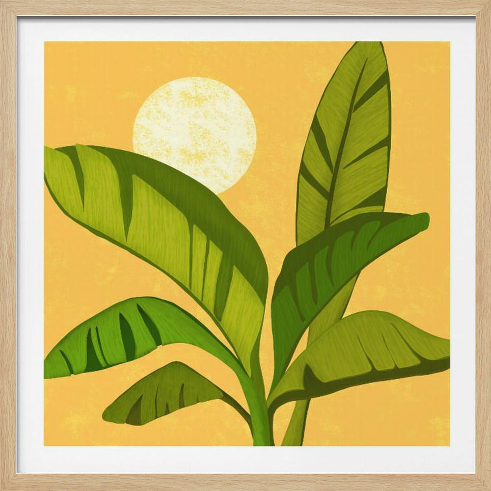 Sunny Golden Tropics | Poster