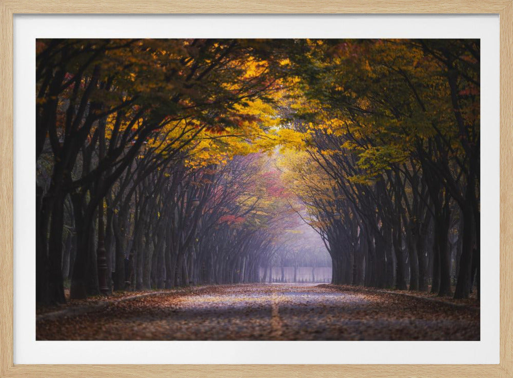 Autumn morning | Poster