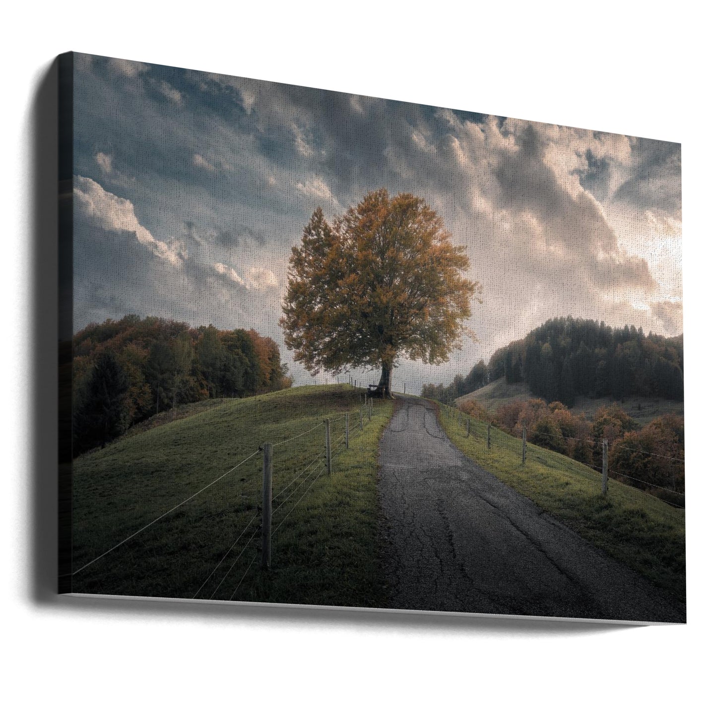 Time After Time | Canvas
