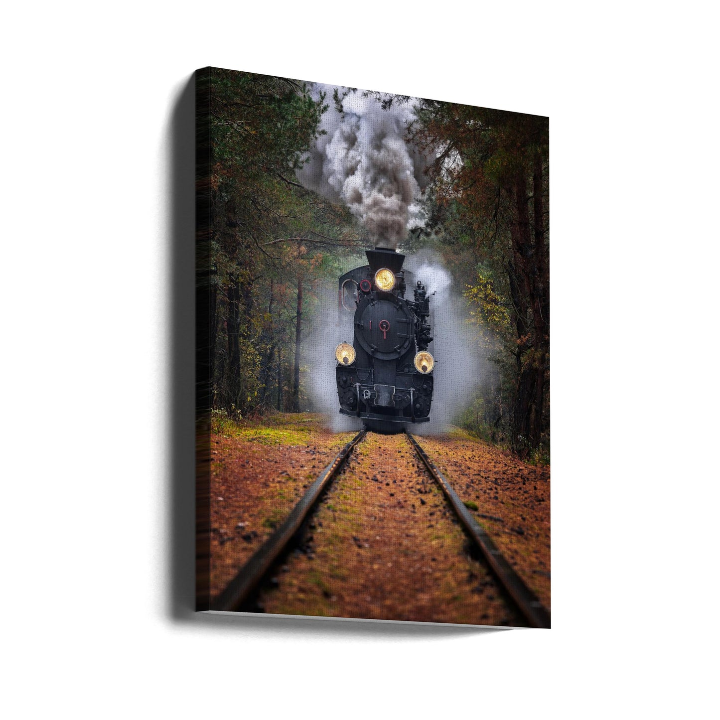 Przez jesienny las | Wydruki na łótnie