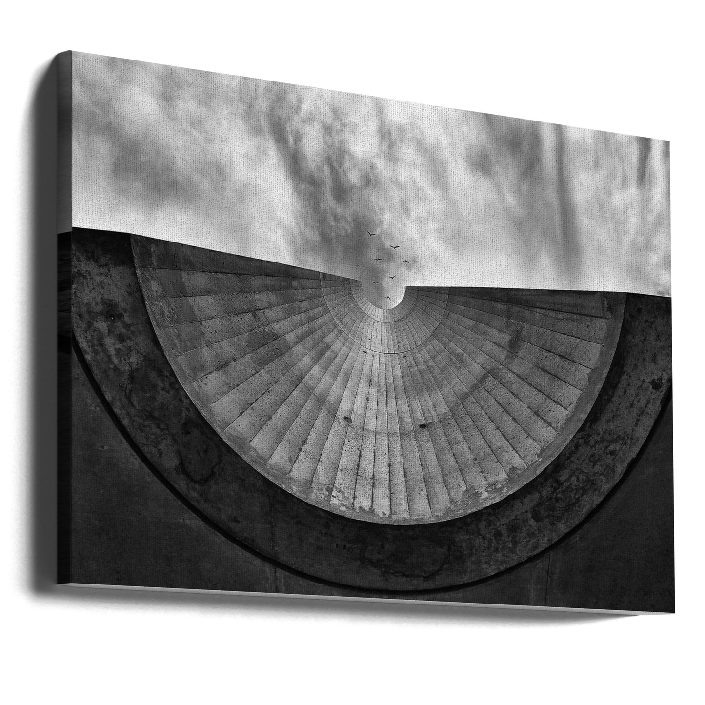 Birds without wire | Canvas