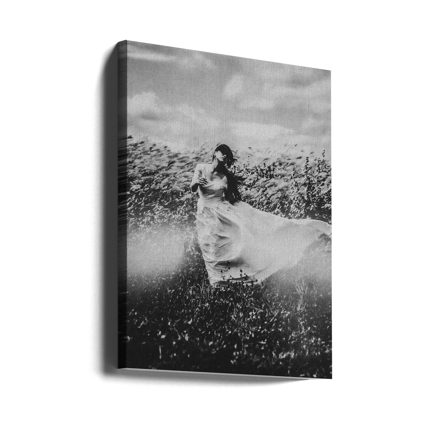 Wind's nest | Canvas