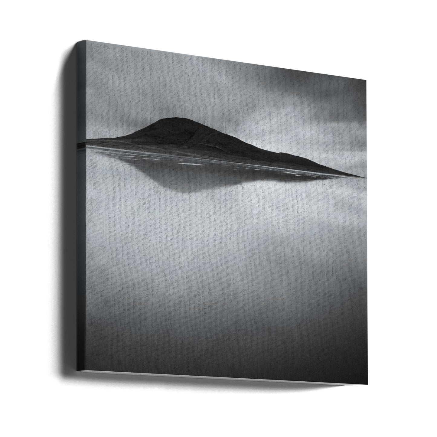Dichotomy | Canvas