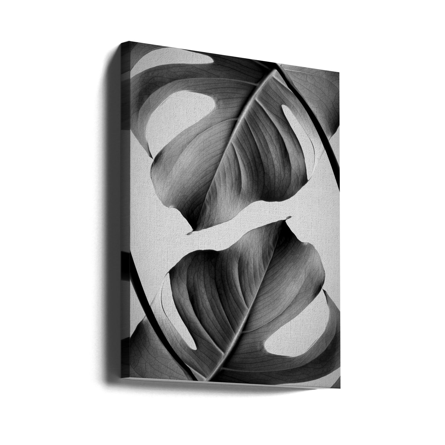 Monstera Monochrome | Canvas