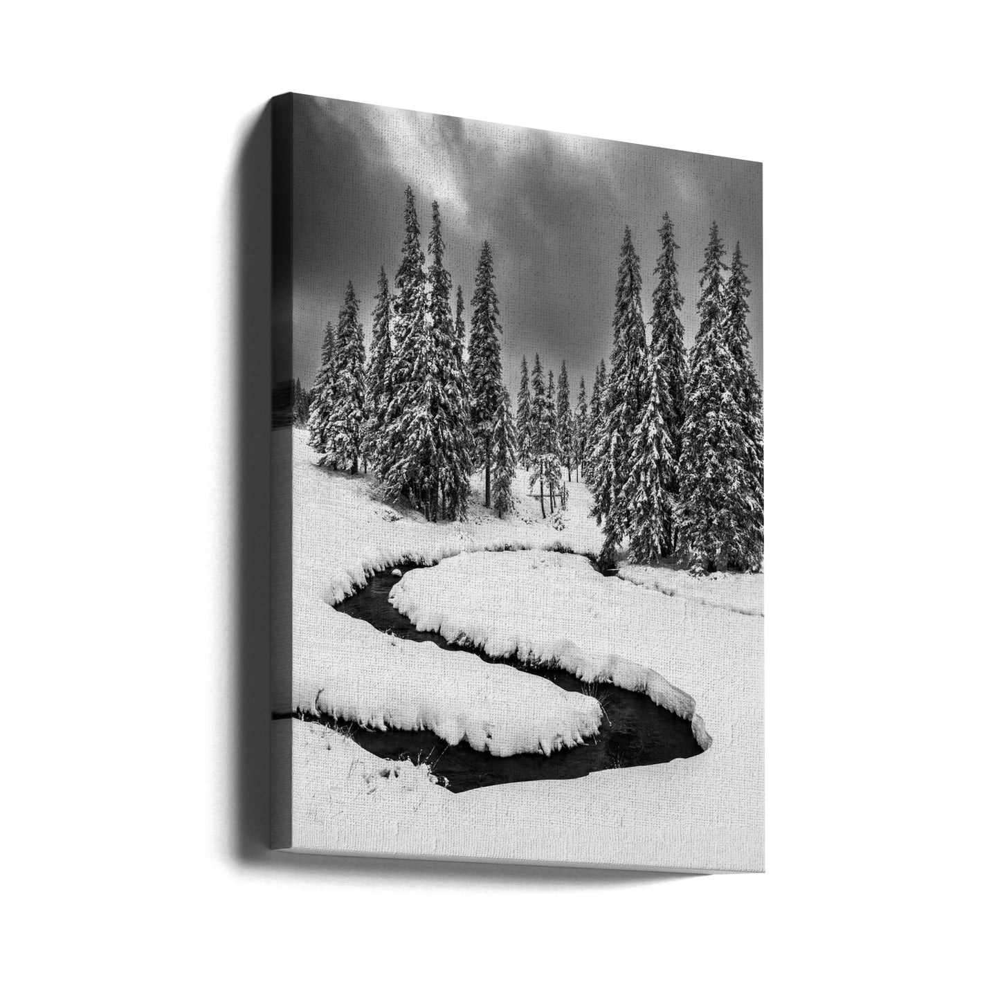 First Snow | Canvas
