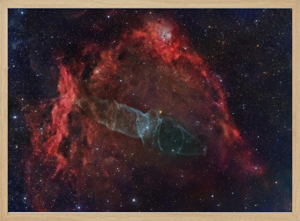 Squid nebula (Nebulosa del calamar) | Poster
