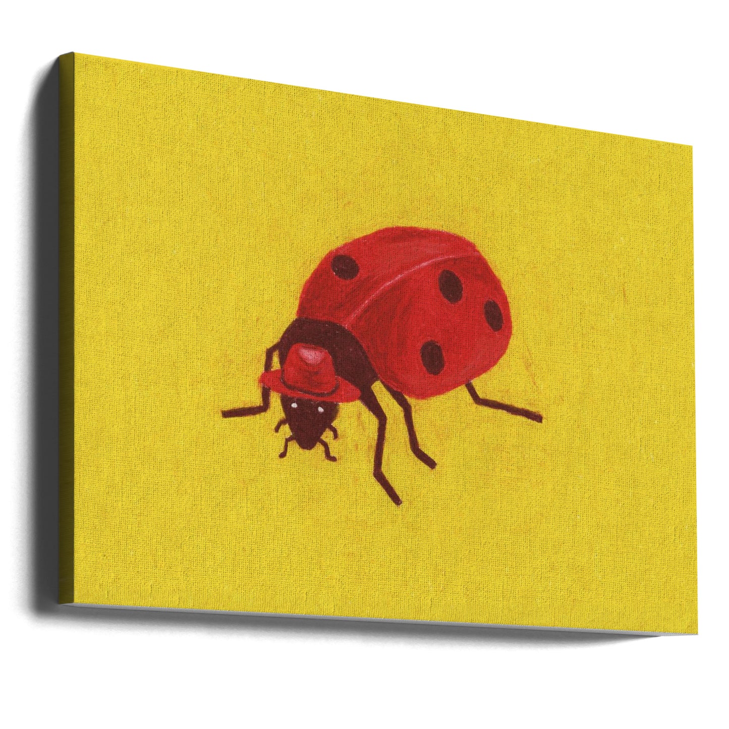 Biedronka | Wydruki na łótnie