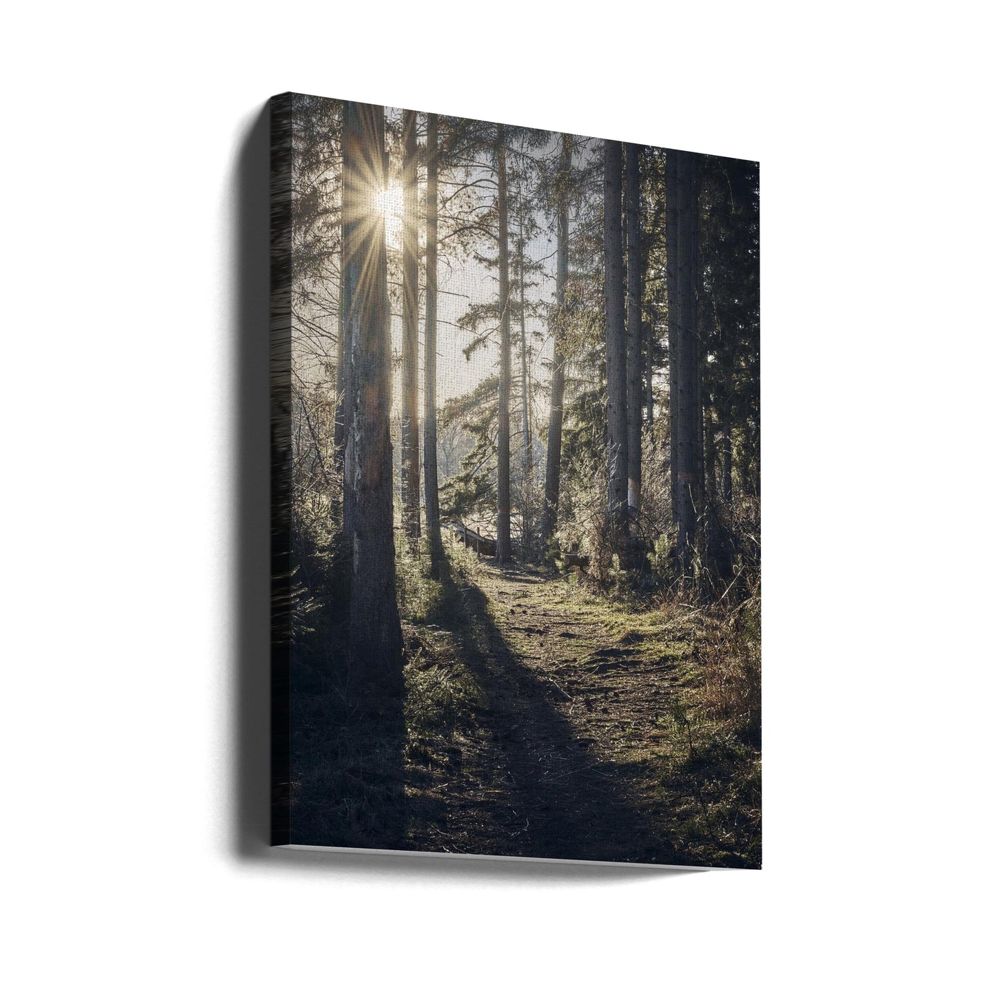 Dsf2913 Hdr 1 | Canvastaulut