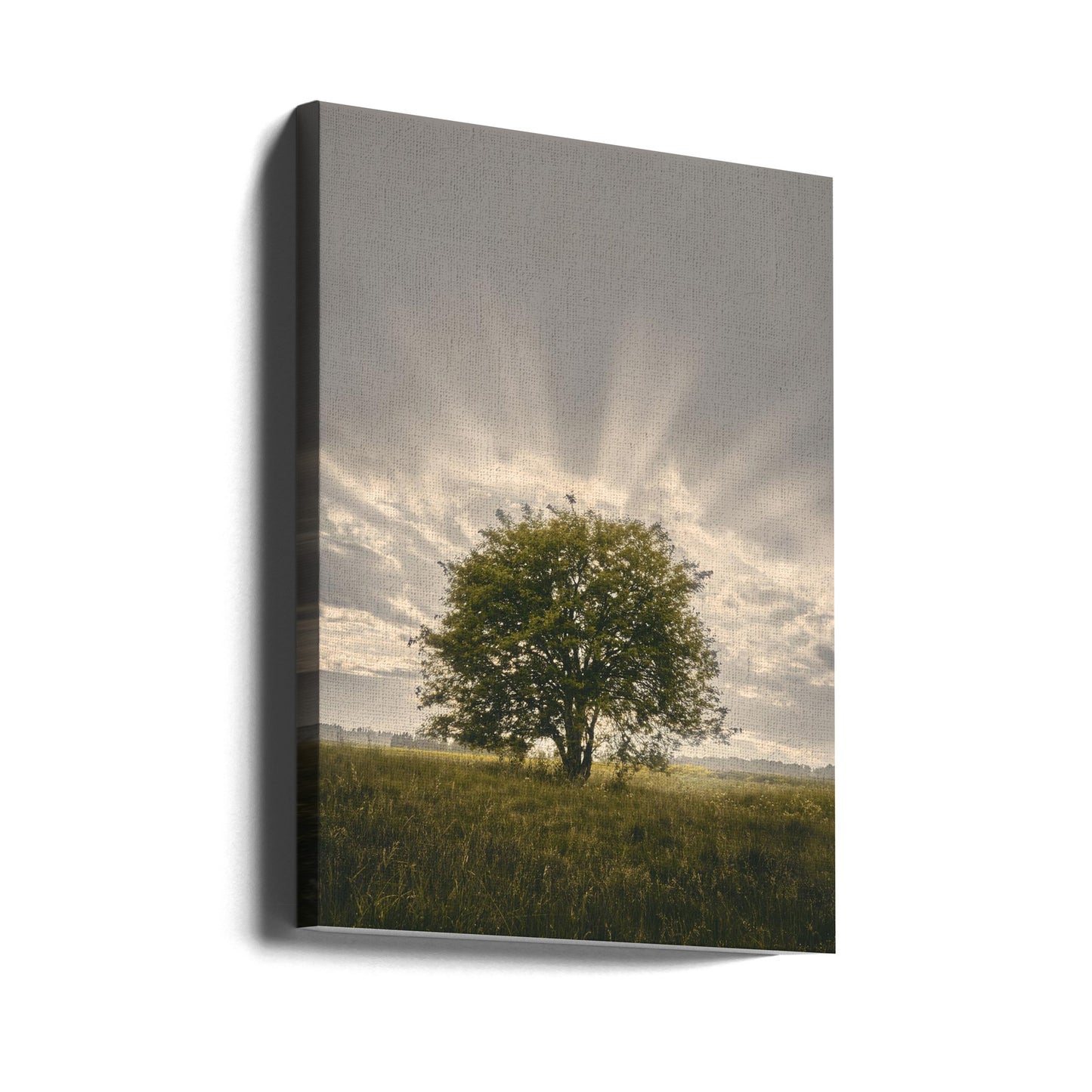 20220616 Dsf4394 | Tableaux sur Toile