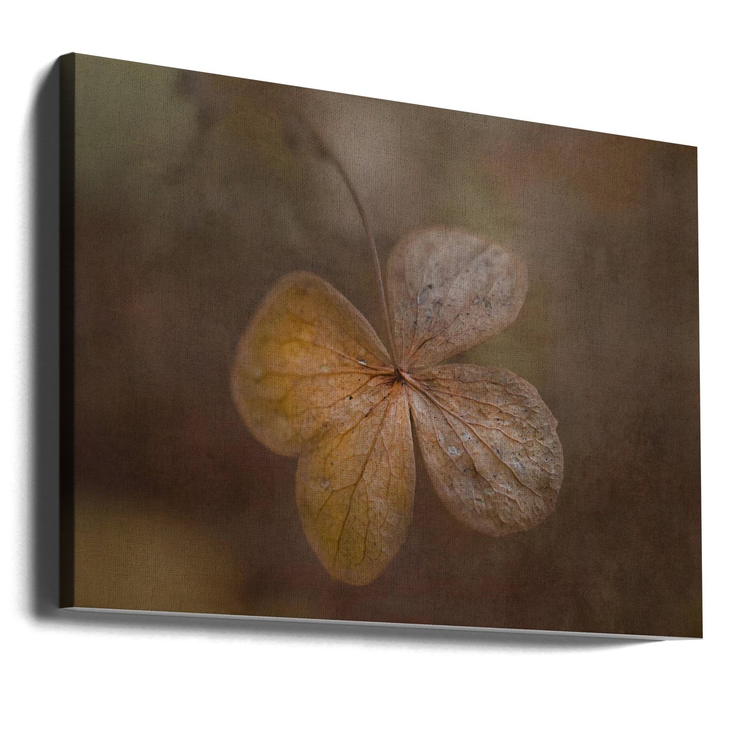 remains of the day | Canvas