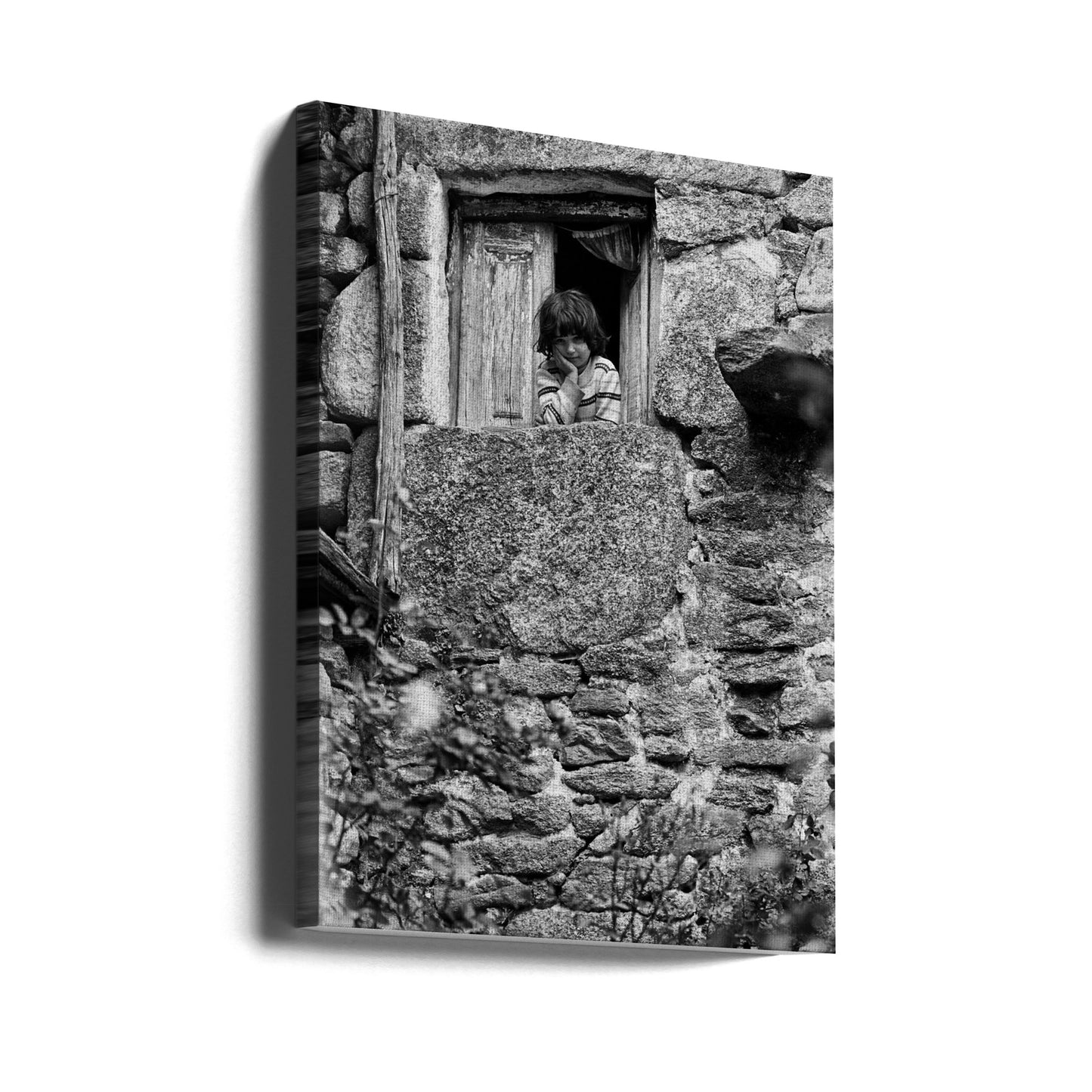 Trás-os-Montes 195 7 24 | Canvas