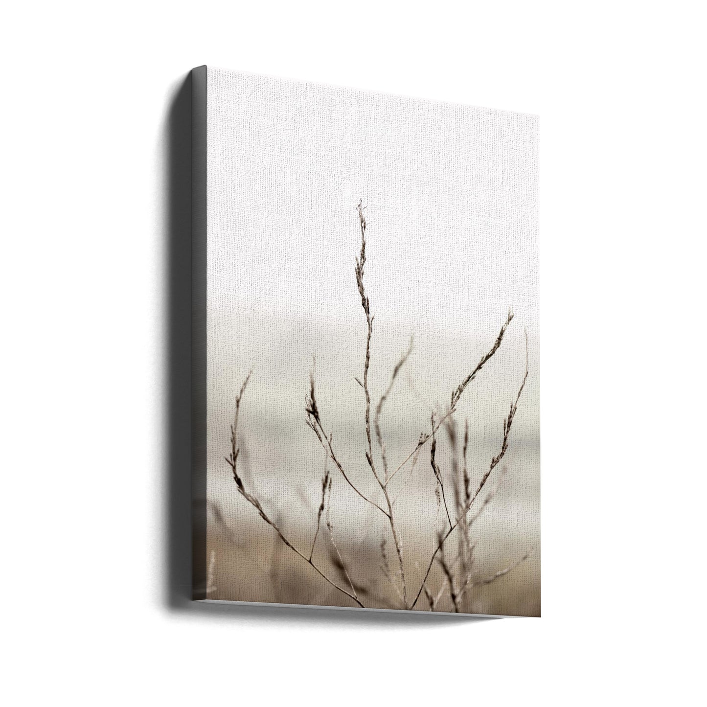 Pickleweed No.1 | Canvas