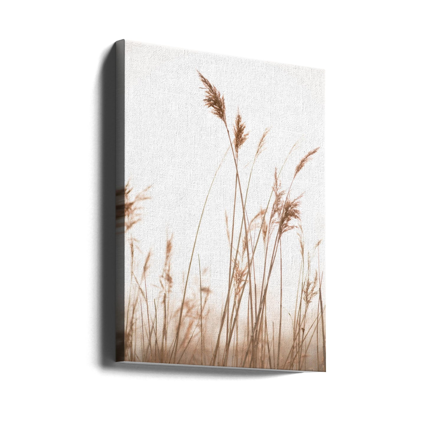 Marsh Grass No.6 | Canvas