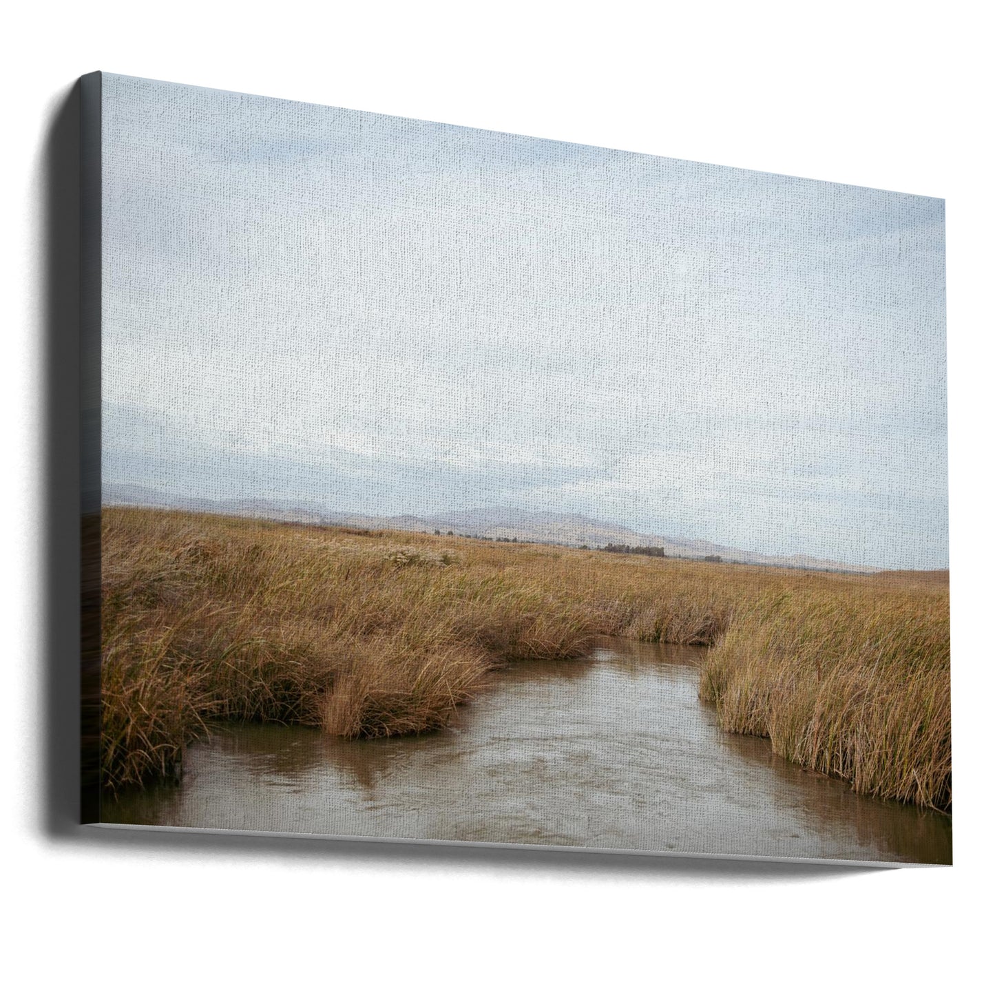 Marshland No.1 | Canvas