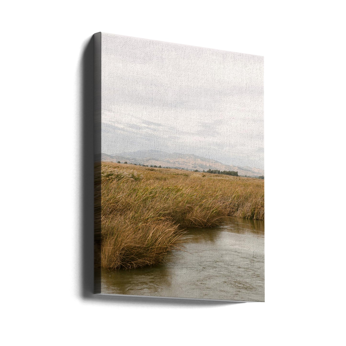 Marshland No.2 | Canvas