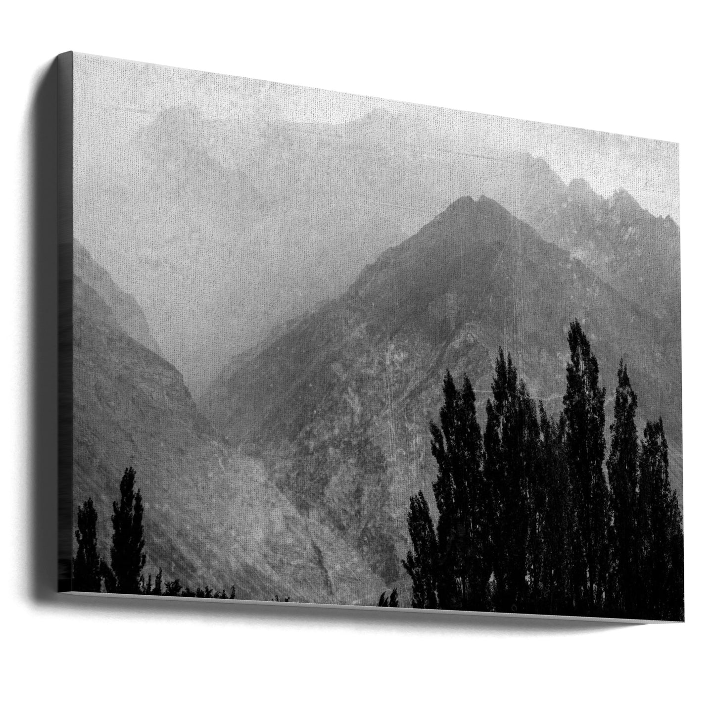 Trees in the mountains | Canvas
