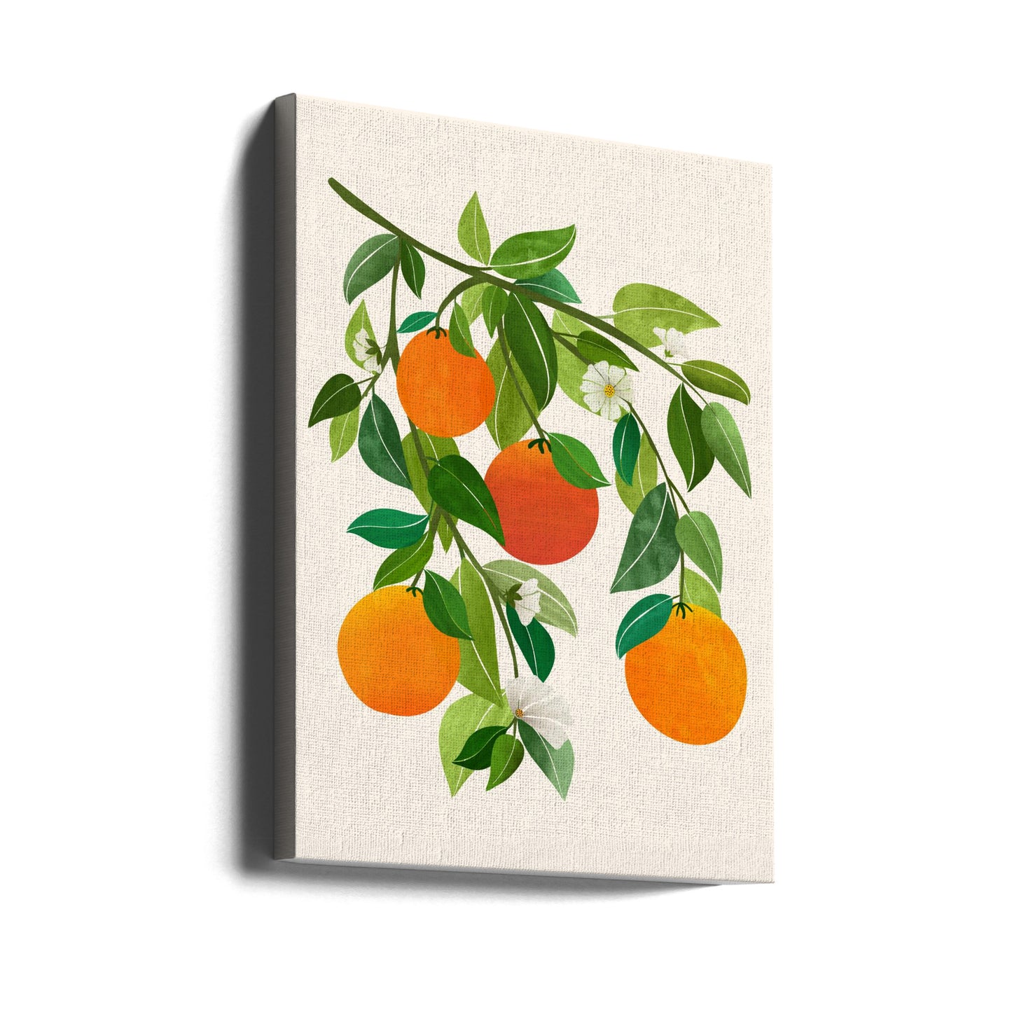 Apelsiner och blommor II | Canvas