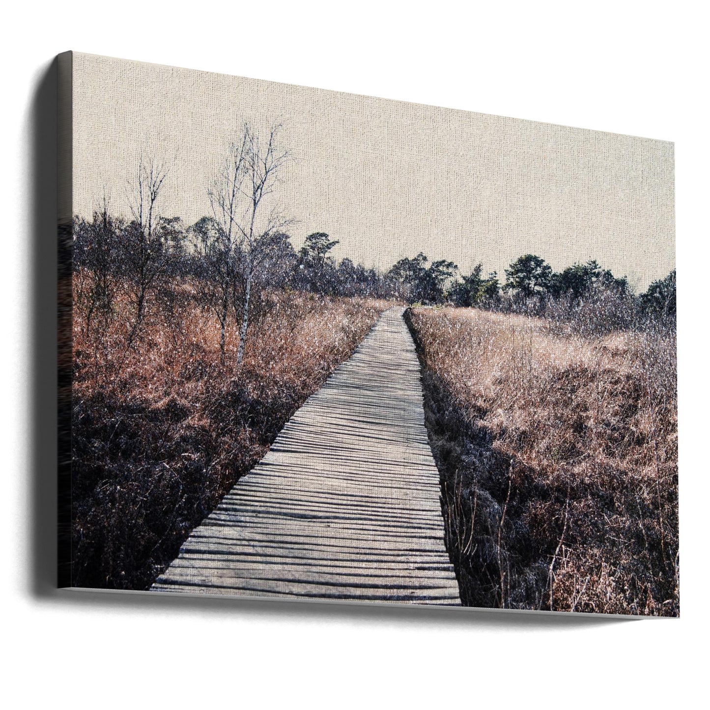 Nature reserve | Canvas