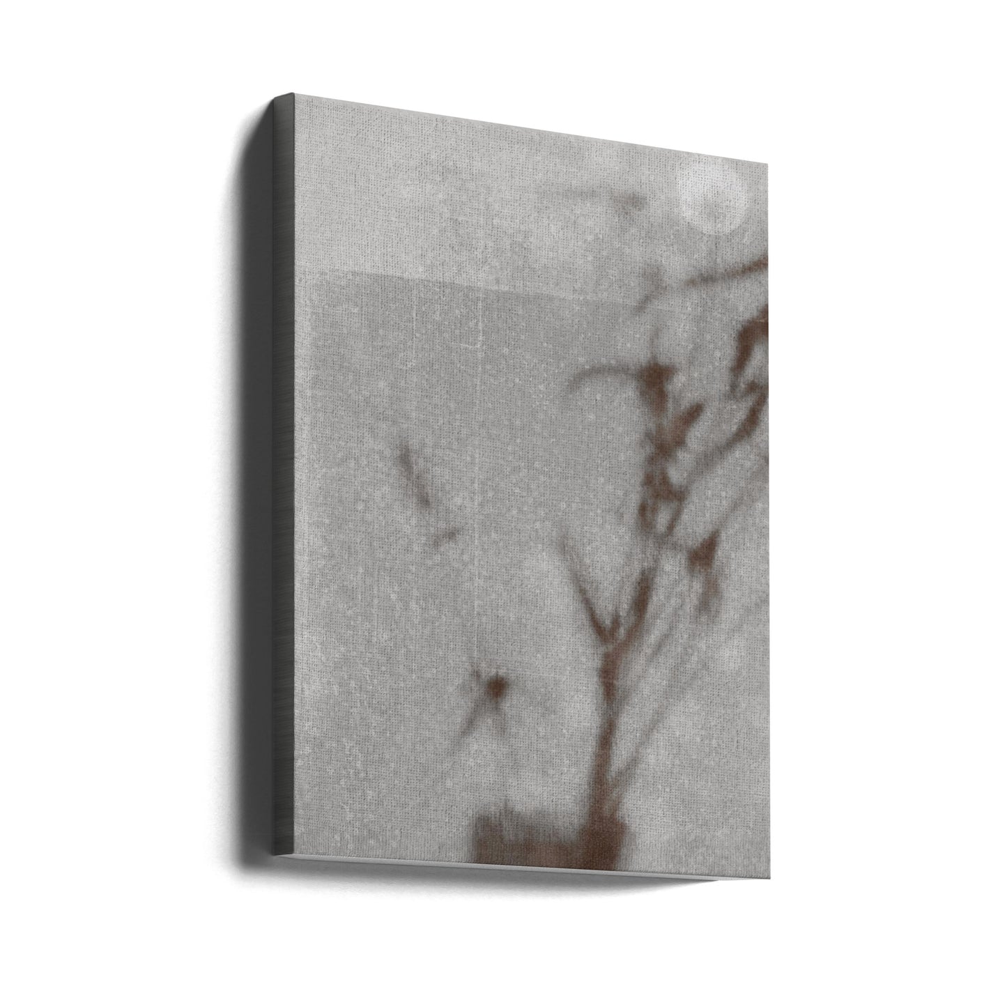 Kasvitieteellinen siluetti | Canvastaulut