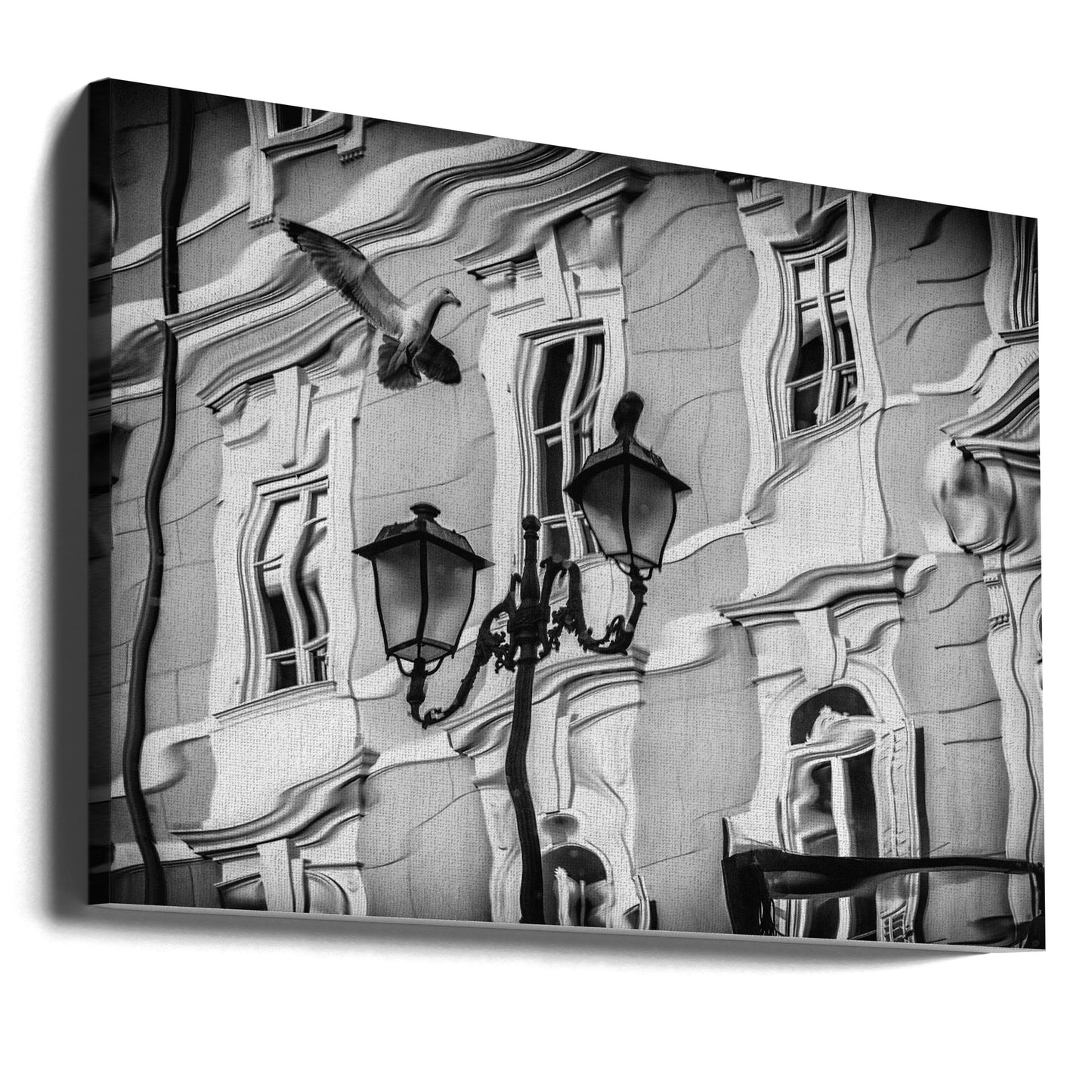 Gull reflection | Canvas