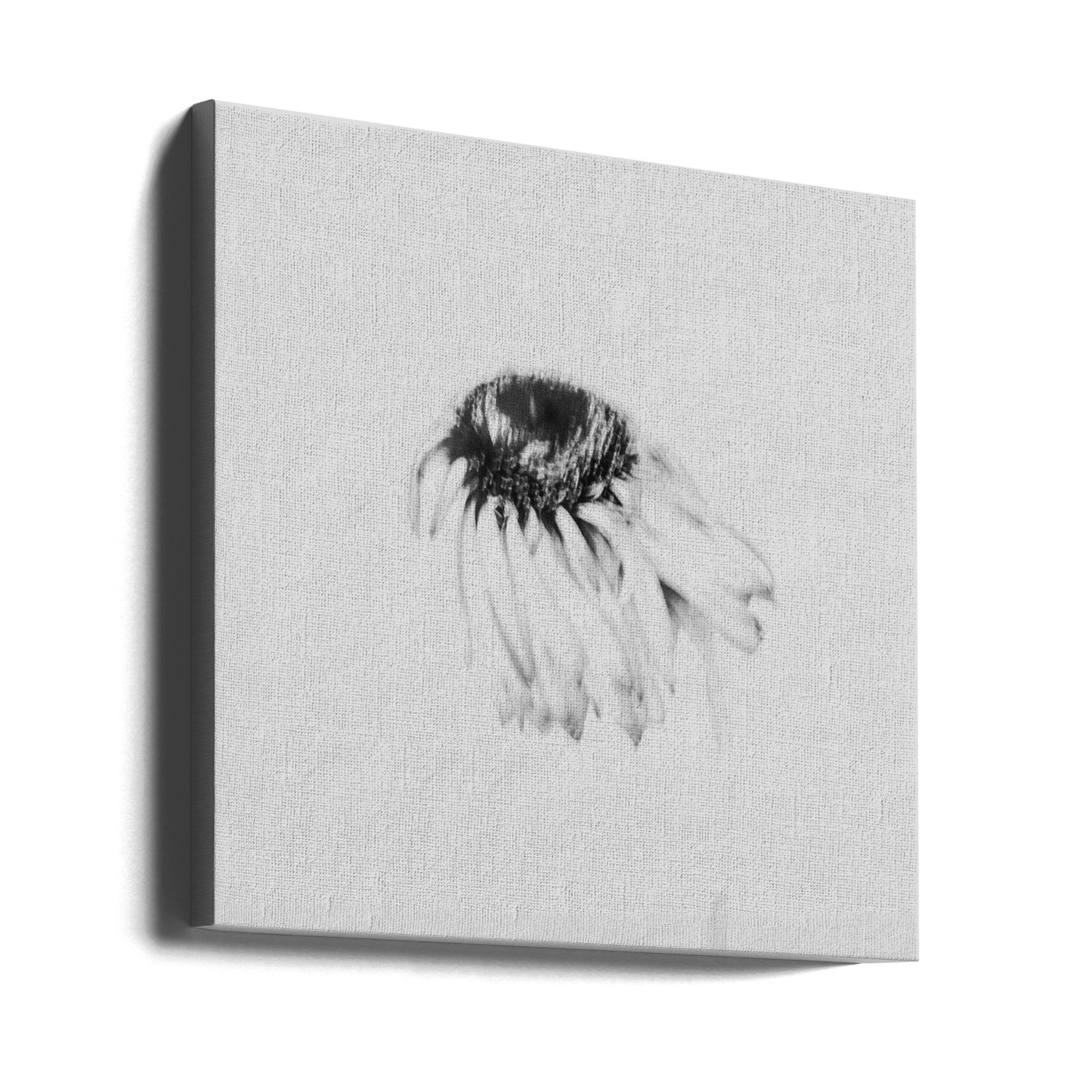Moody flower | Canvas