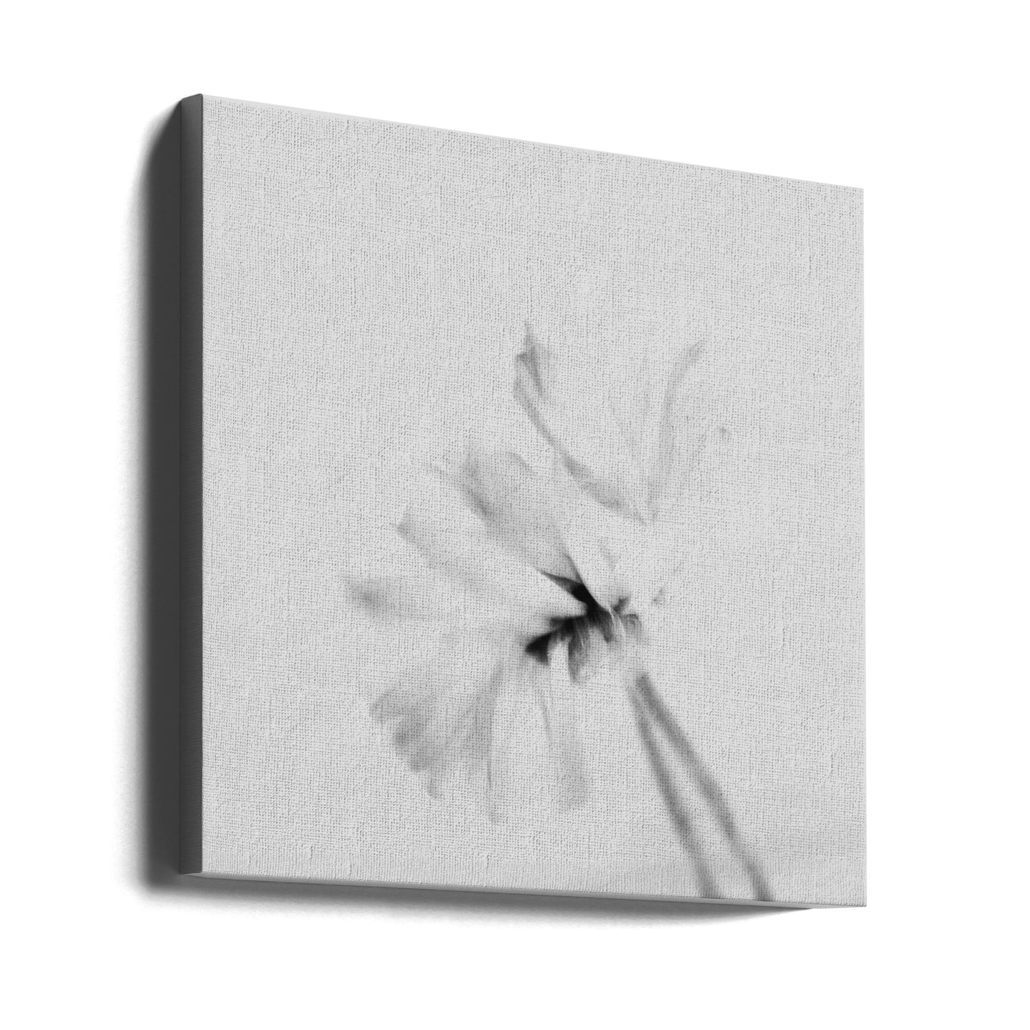 Moody flower 2 | Canvas