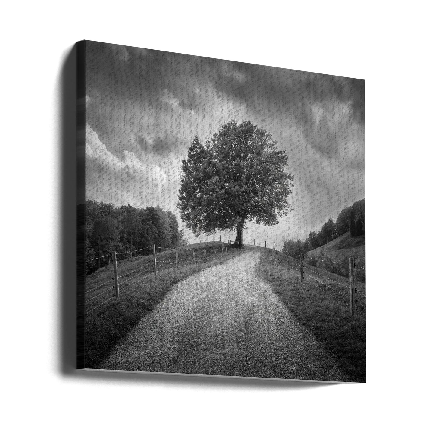 Beneath Black Skies | Canvas
