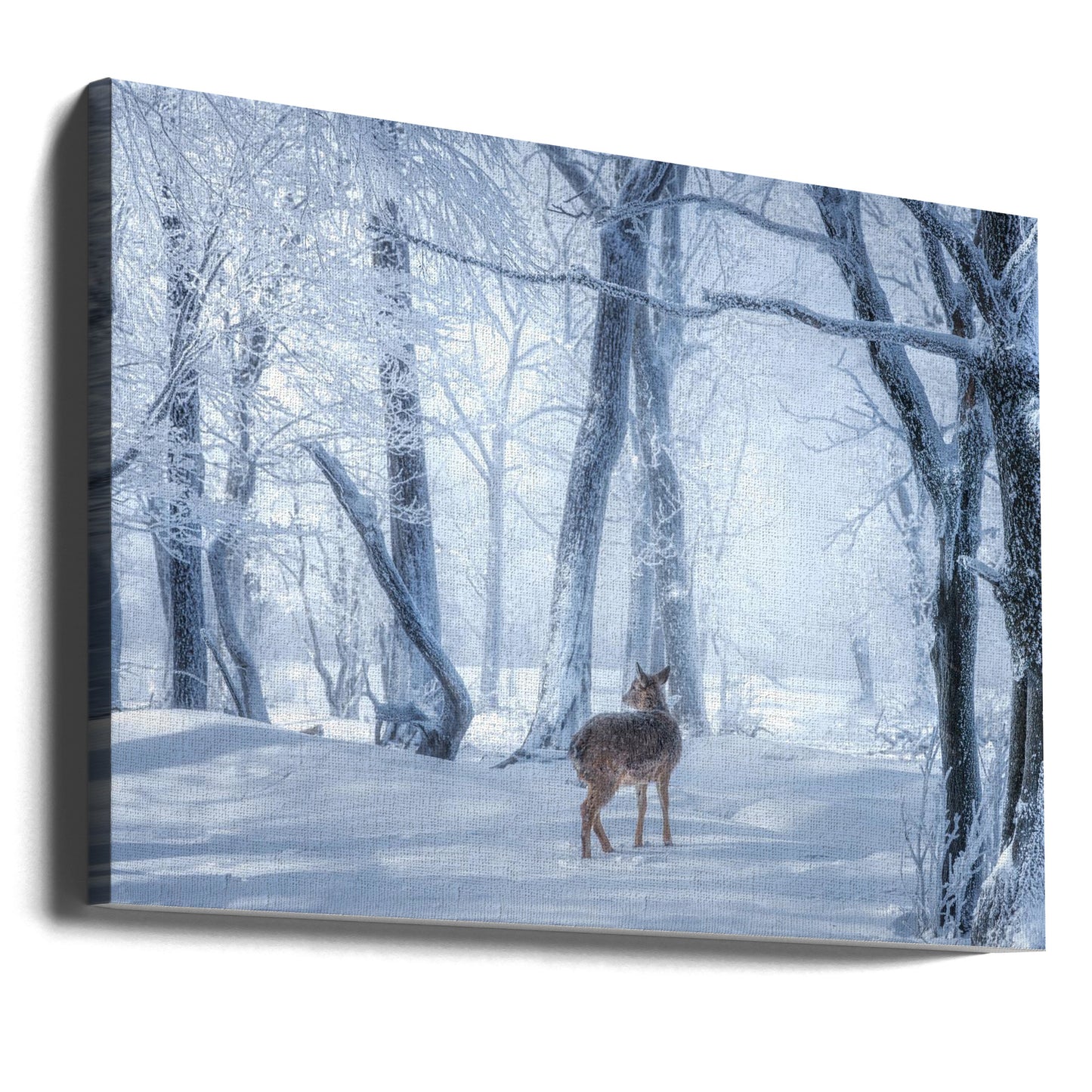The Sika Deer in the Snowy Forest | Canvas