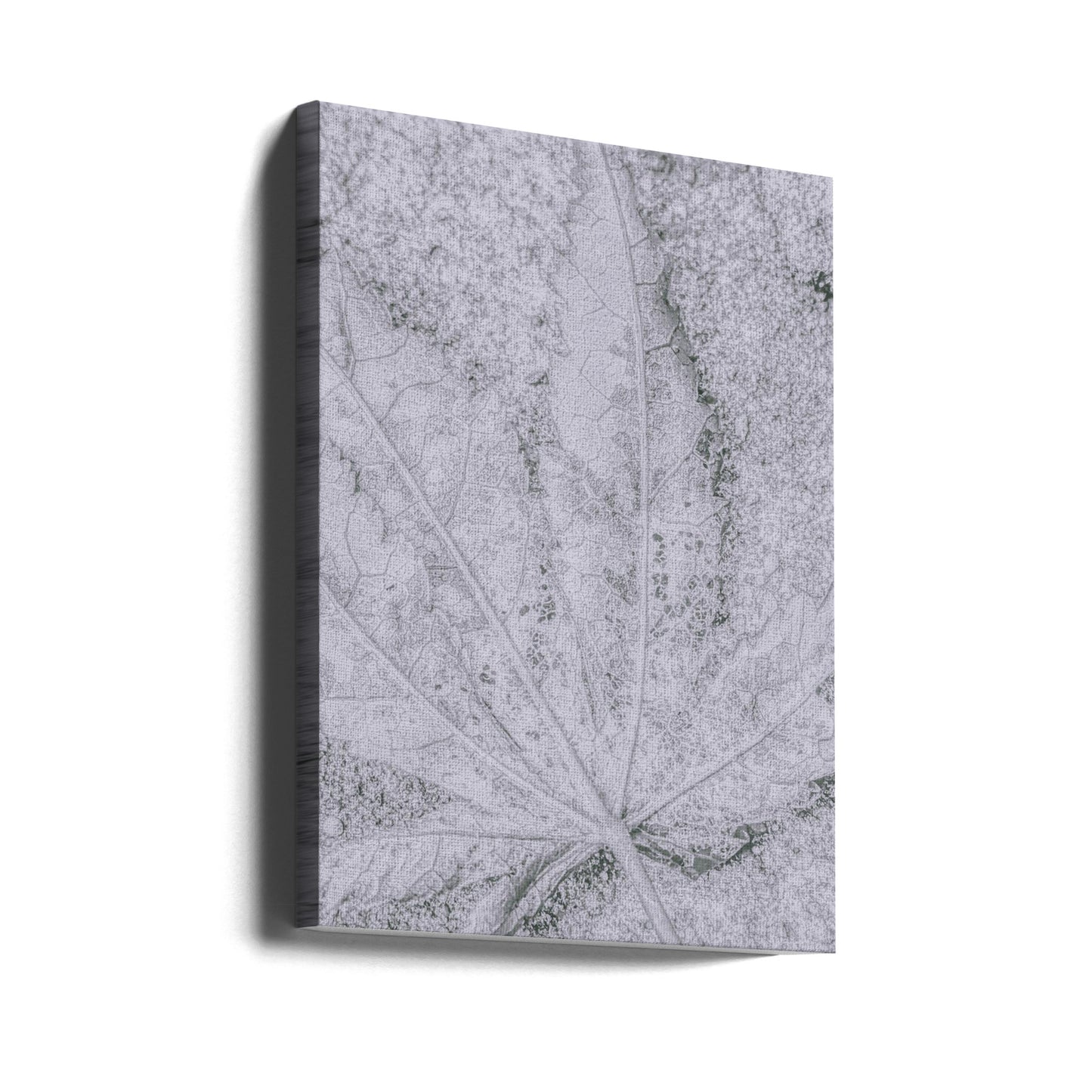 Return to Earth | Canvas