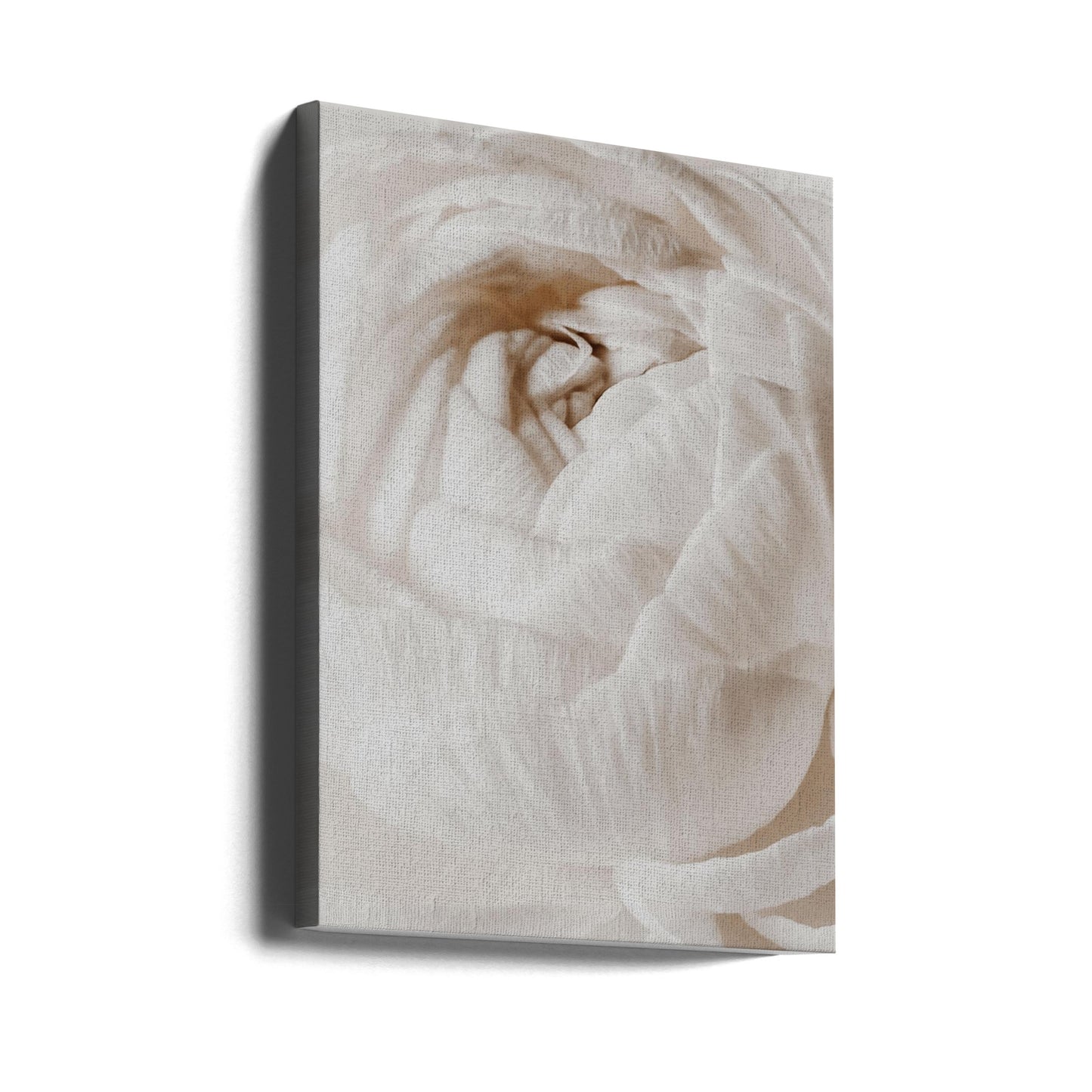 Buttercup | Canvas