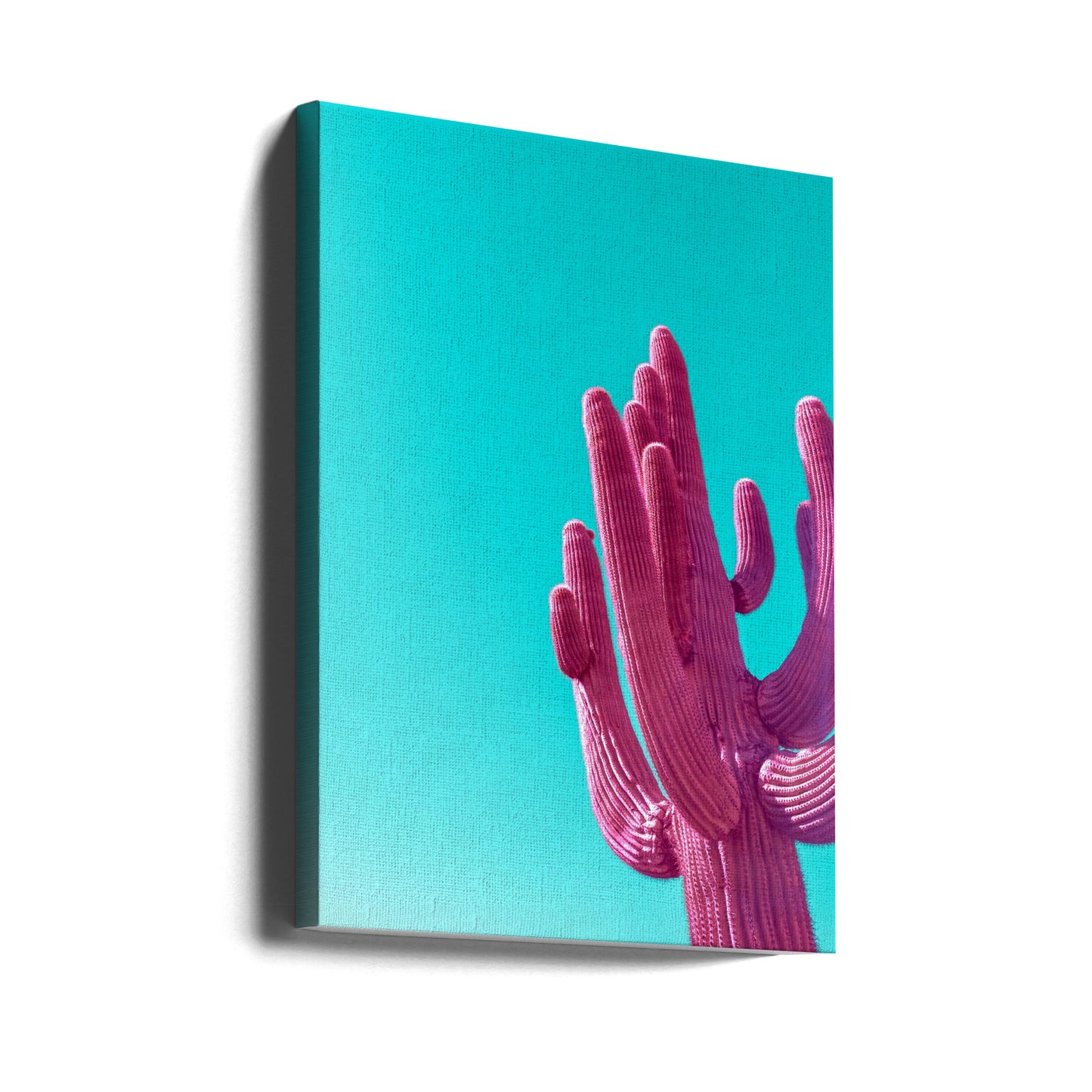 Saguaro w kolorze magenty i różu | Wydruki na łótnie