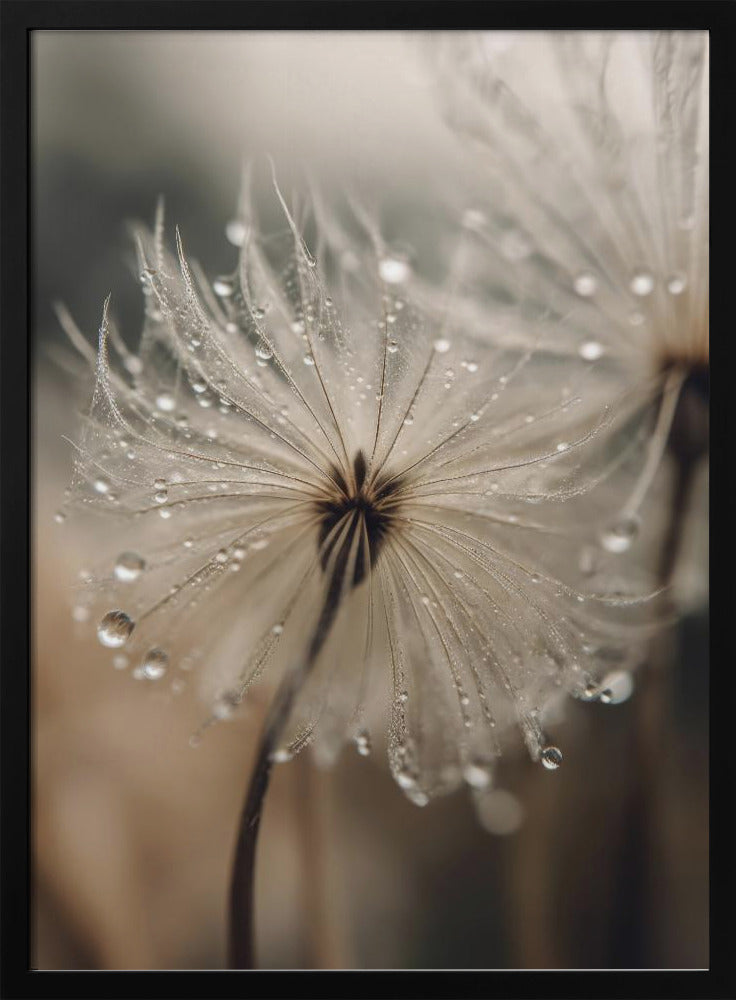 Dewy Whisper | Poster