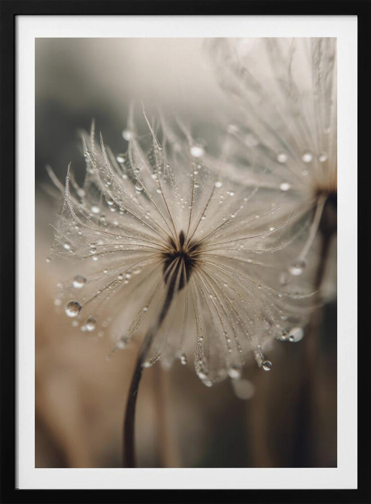 Dewy Whisper | Poster