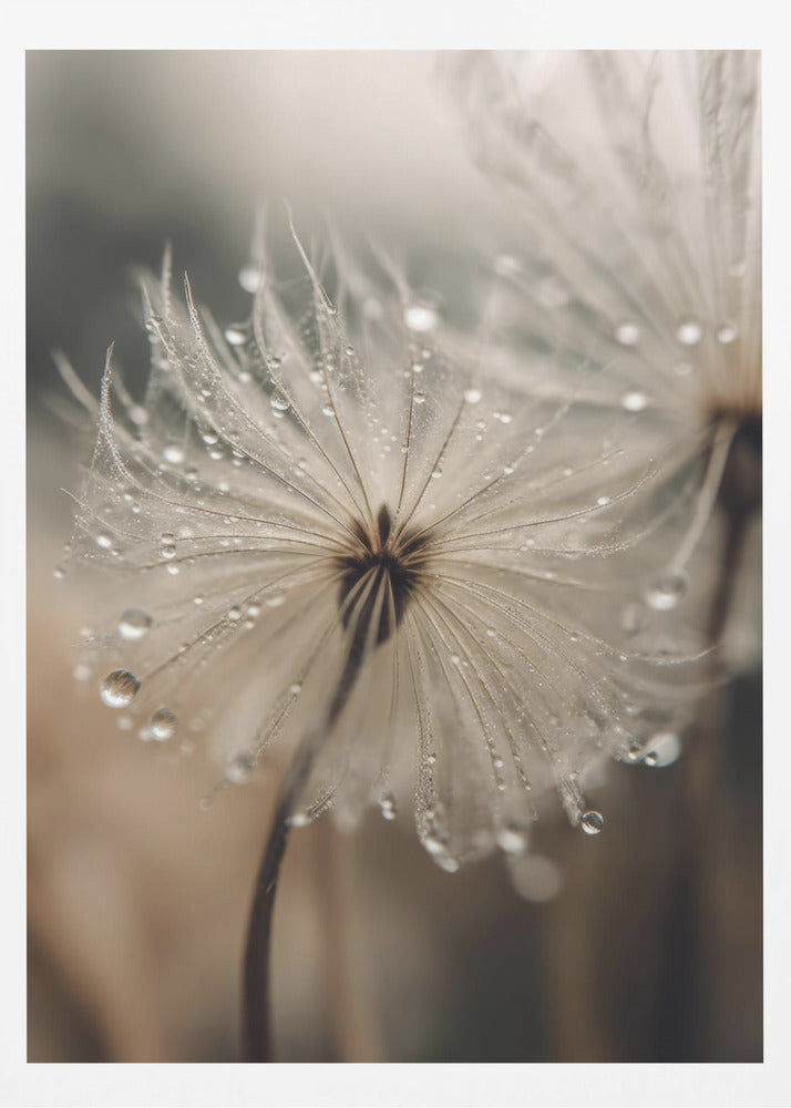 Dewy Whisper | Poster