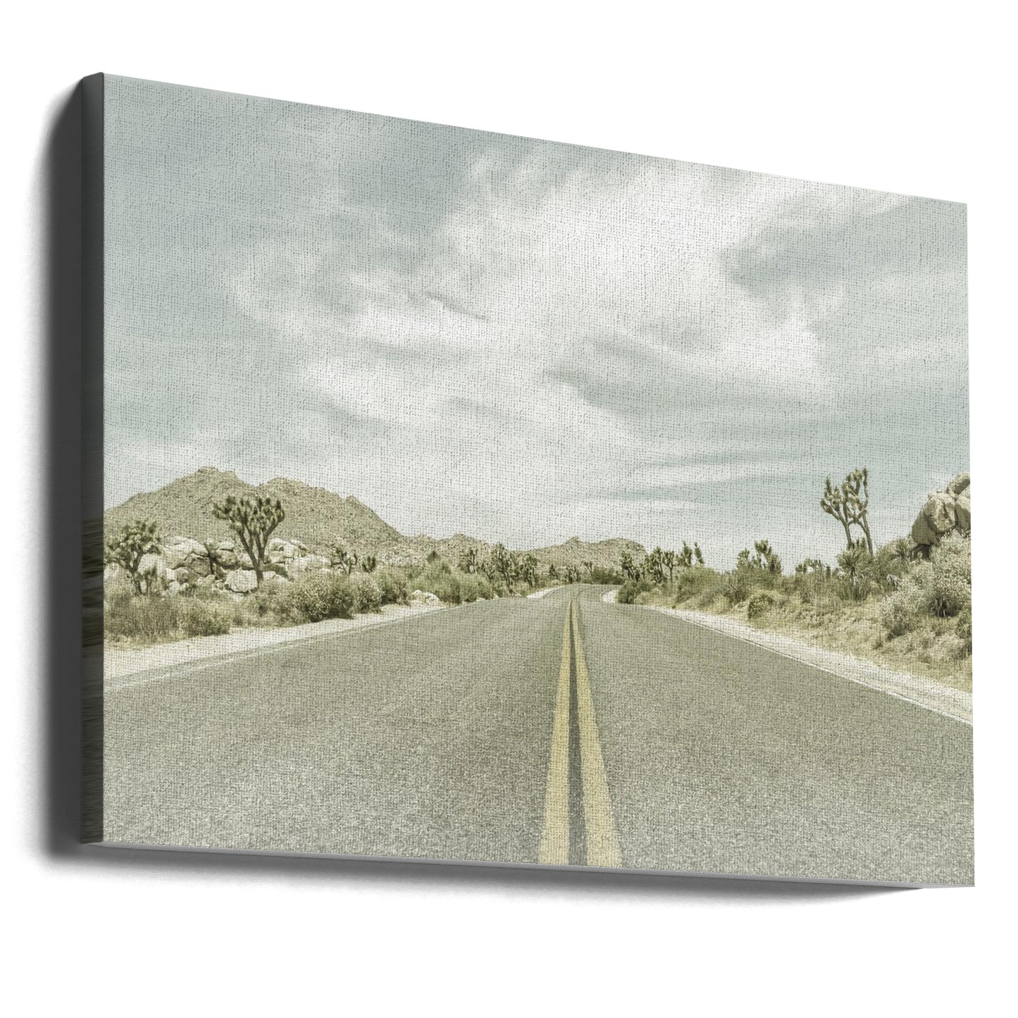 Zabytkowe drzewa Joshuy, Park Boulevard | Wydruki na łótnie