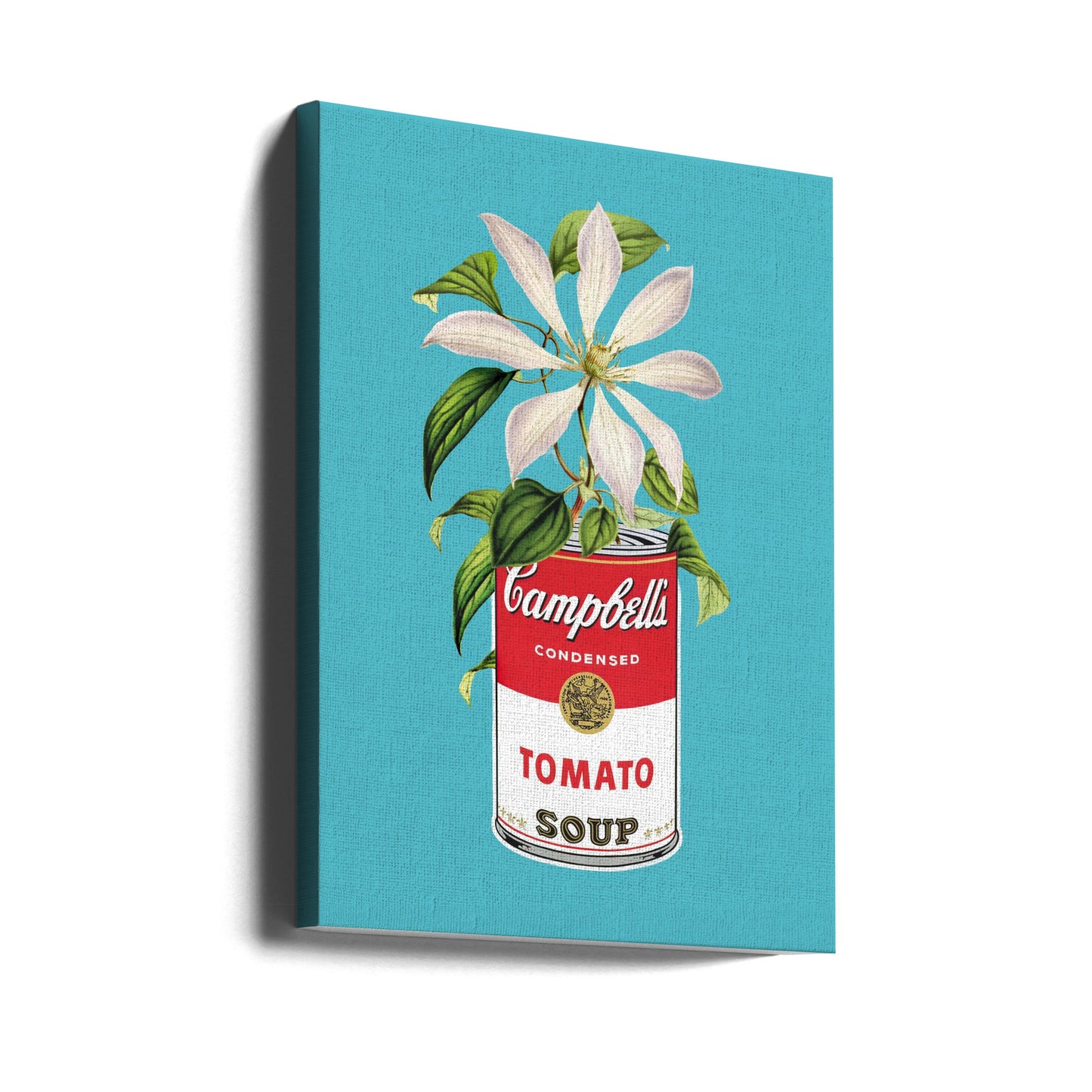 Campbells and Flowers | Canvas