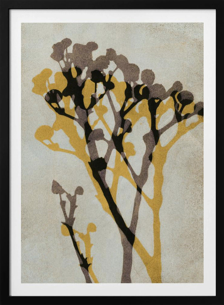 Echos von Gypsophila | Poster