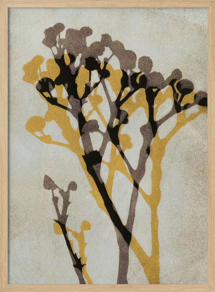 Echos von Gypsophila | Poster