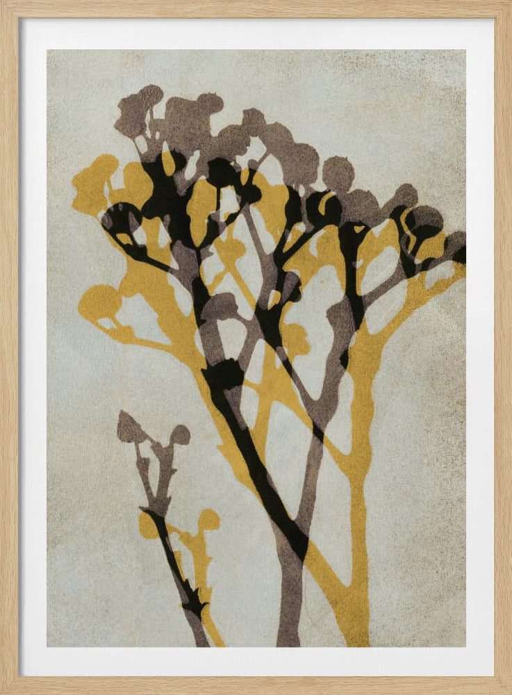 Echos von Gypsophila | Poster