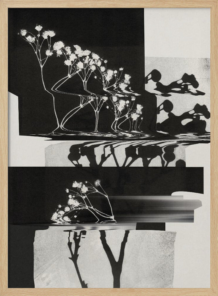 Nature Morte #1 | Poster