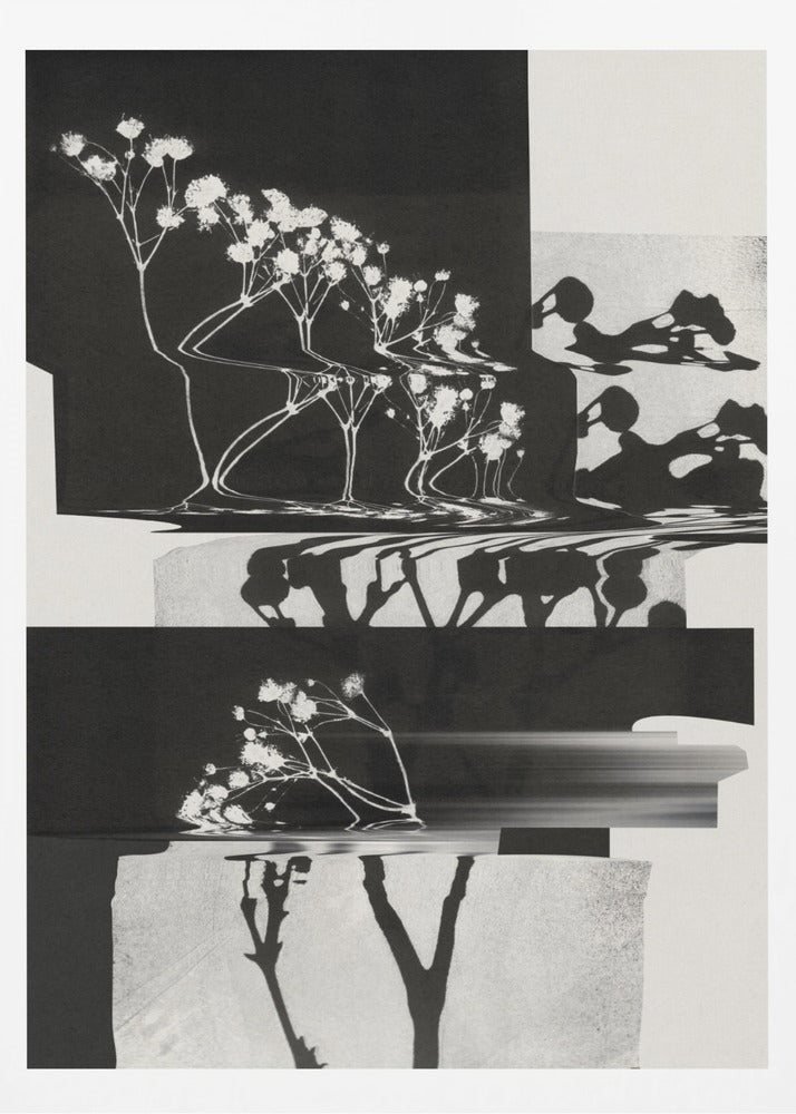 Nature Morte #1 | Poster