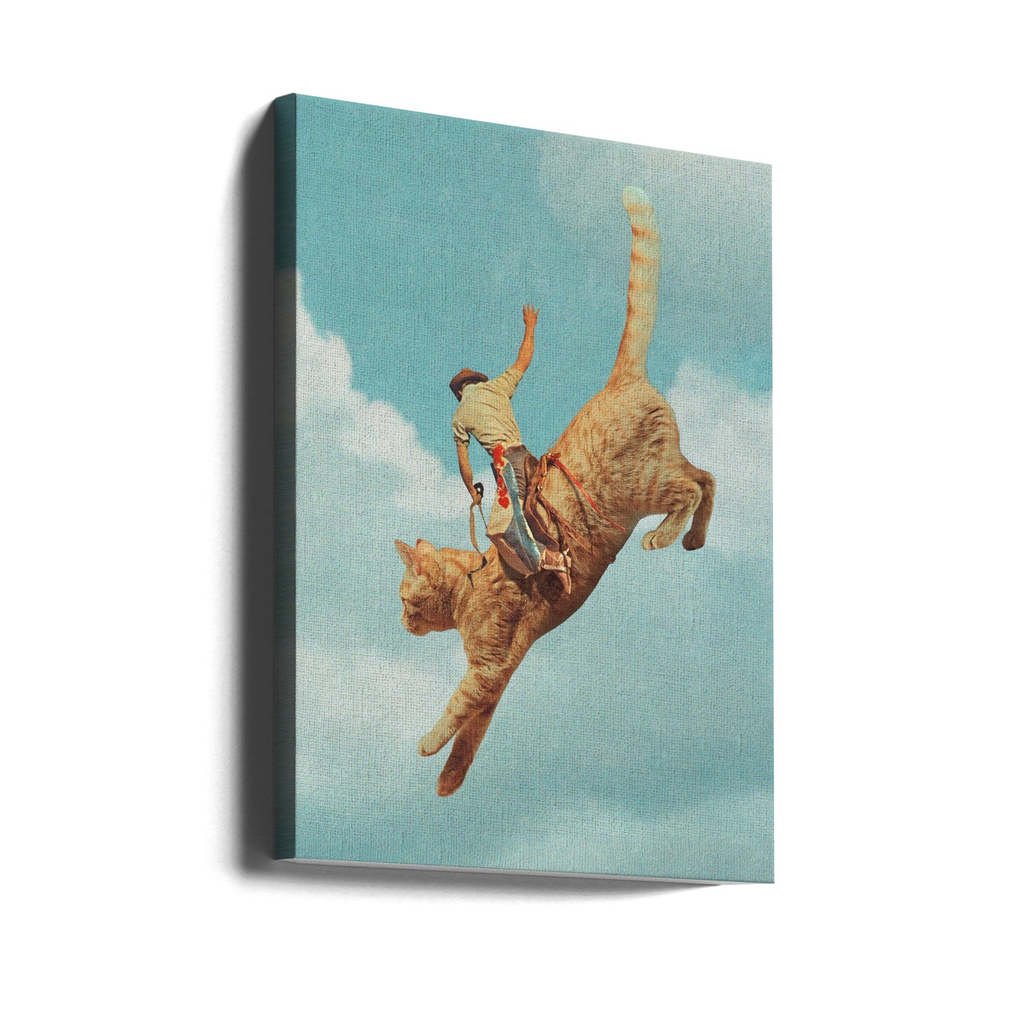 Meehaw Rodio Chat | Tableaux sur Toile