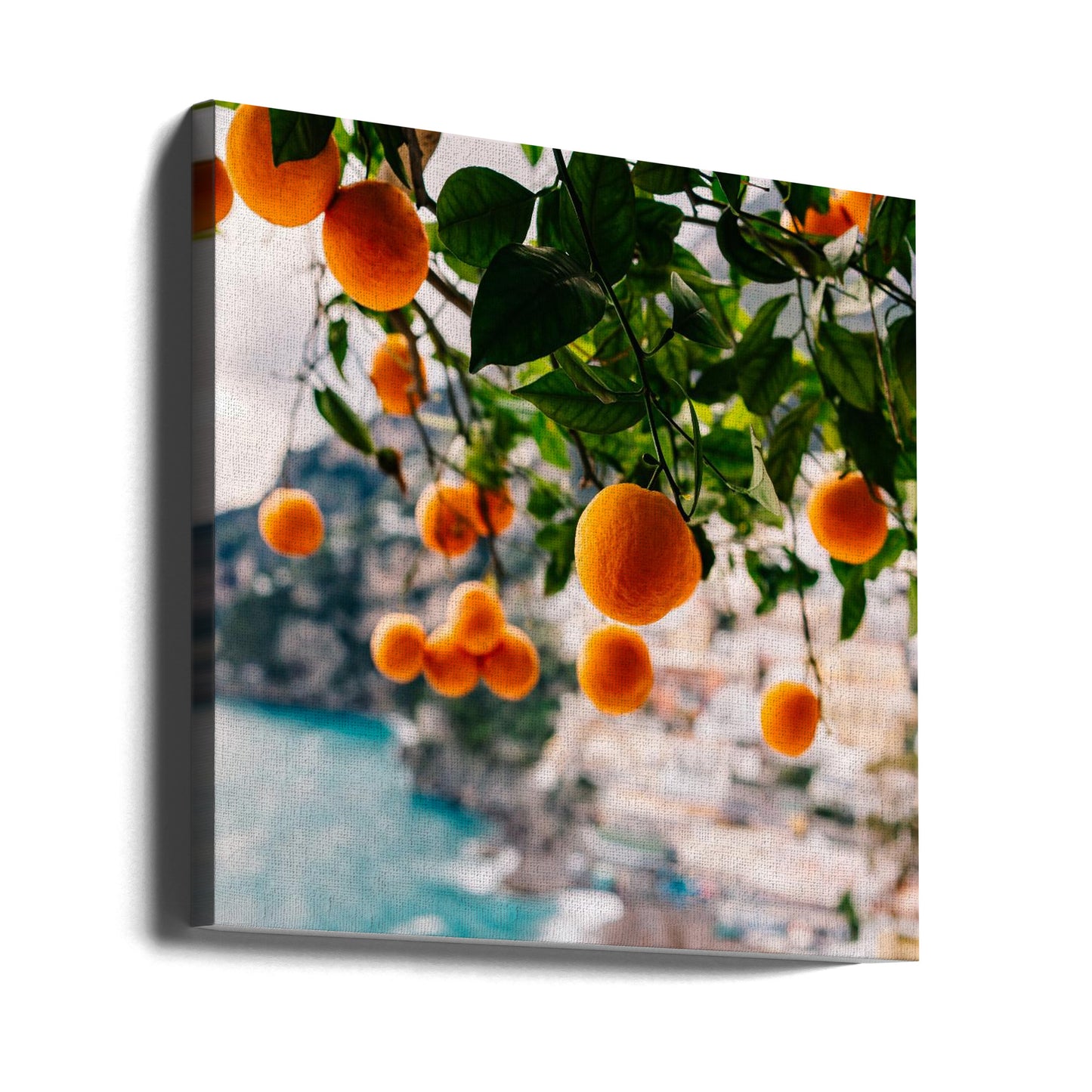 Amalfi Coast Oranges | Canvas