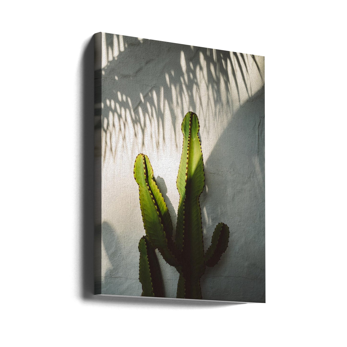 Cienie Socal | Wydruki na łótnie