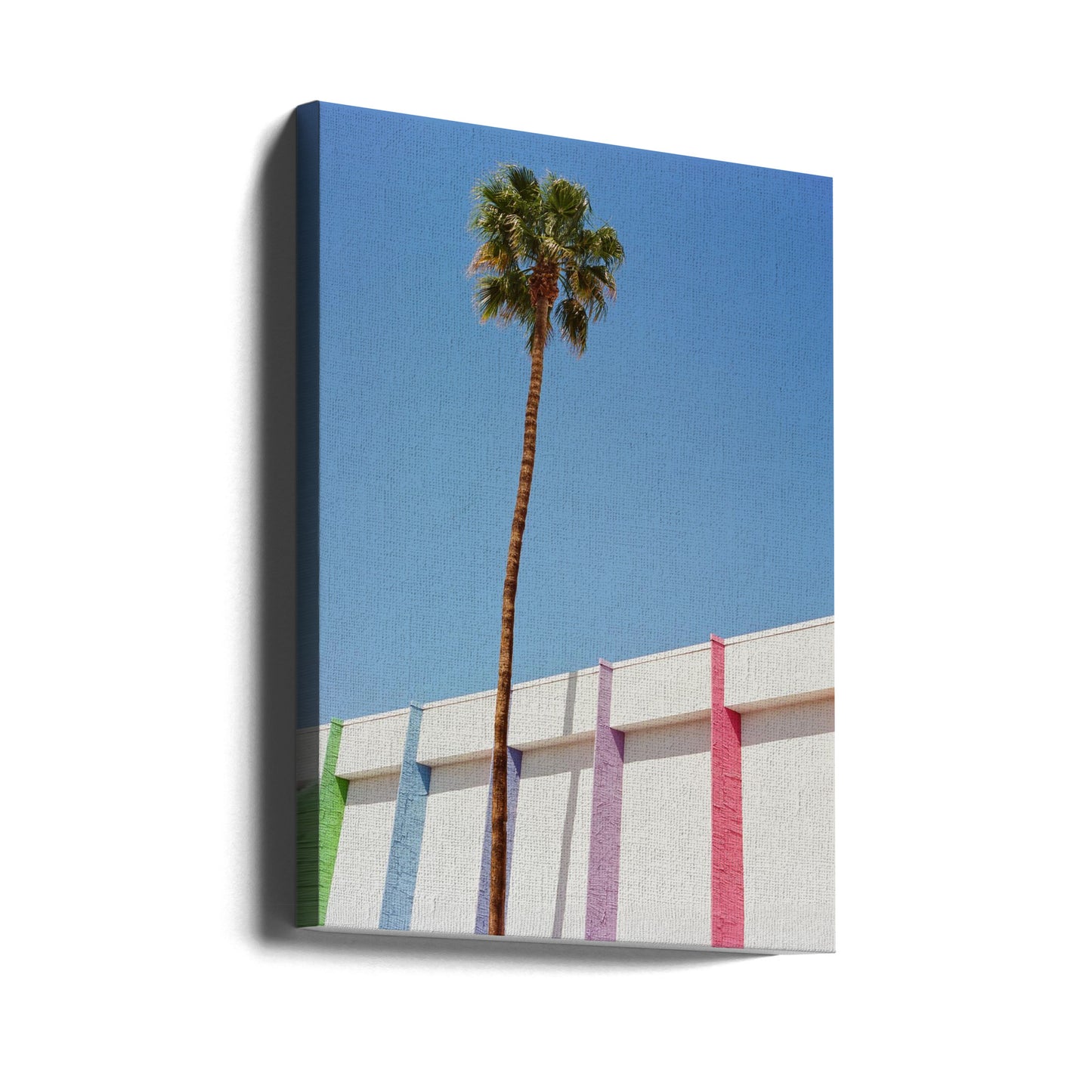 Palm Springs II | Wydruki na łótnie