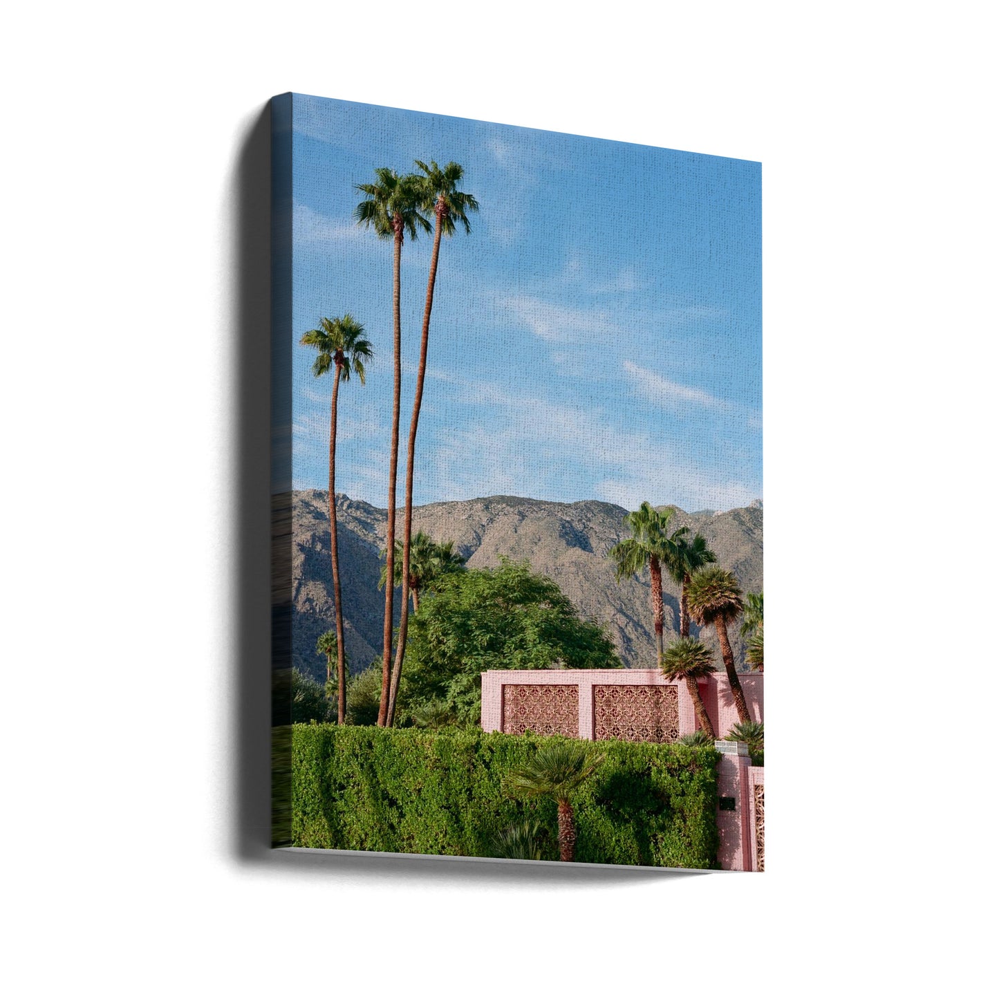 Różowy dom w Palm Springs | Wydruki na łótnie