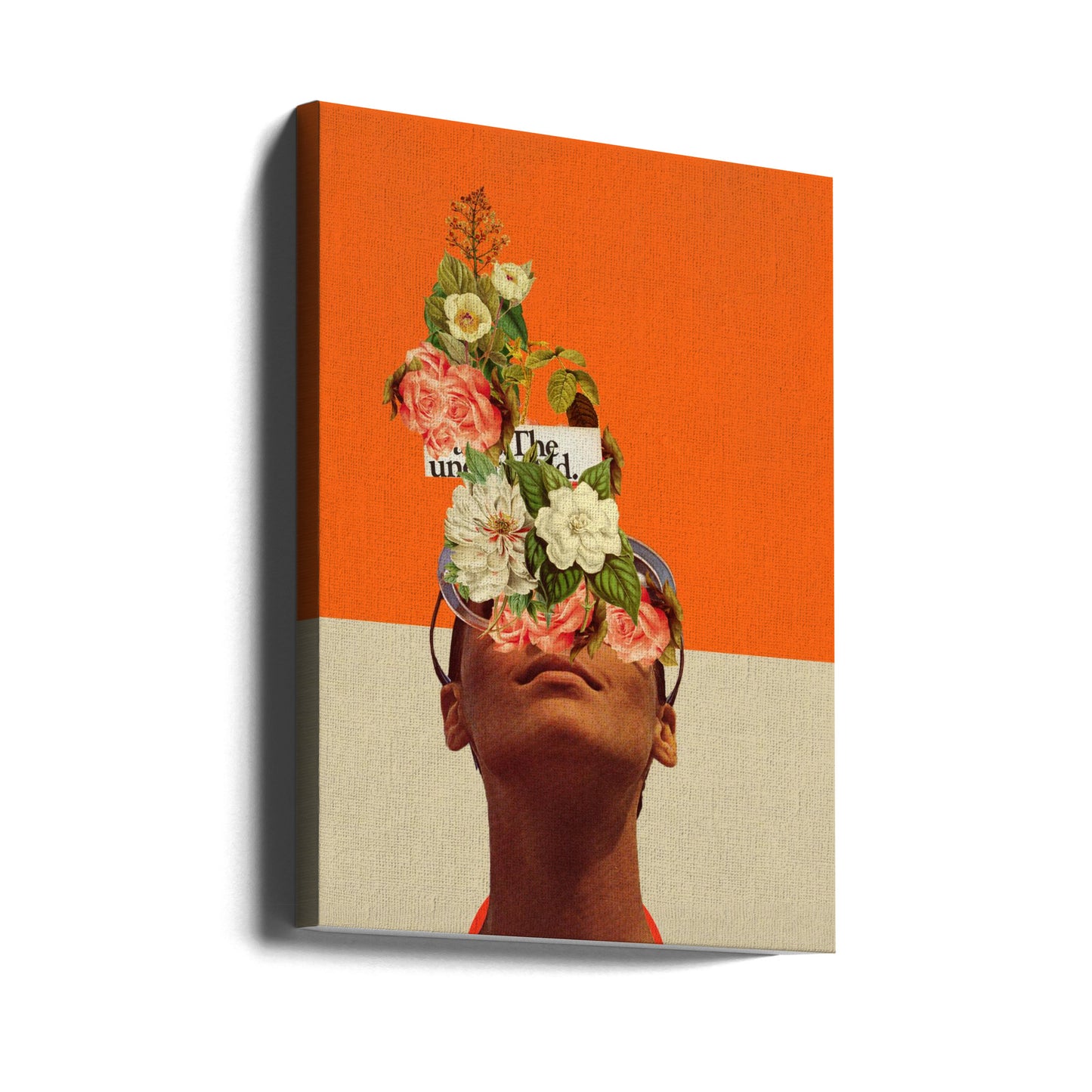 Lo inesperado | Impresiones en Lienzo